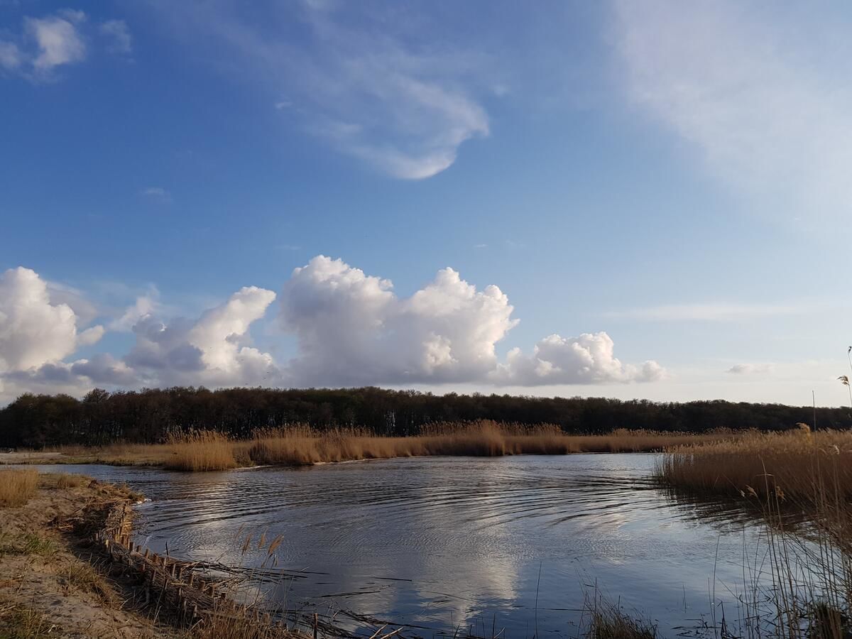 Отель Liman Park Eco Hotel Stara Zbur"yivka-24